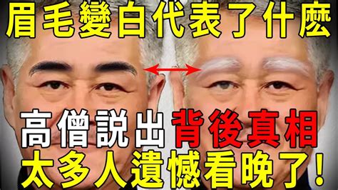 白眉毛吉凶|【眉毛白色代表什麼】眉毛變白代表什麼重大徵兆？預測兇吉運勢。